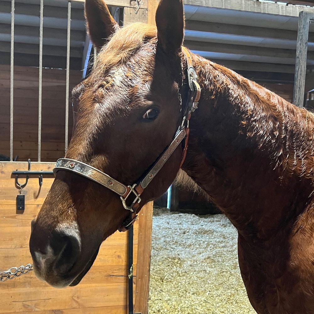 Meet your Posher, Dana